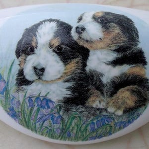 May include: White ceramic drawer pull featuring a painted image of two Bernese Mountain Dog puppies. The puppies have black, brown, and white fur, and are surrounded by blue flowers and green grass.