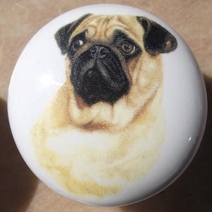 May include: A white ceramic cabinet knob featuring a detailed illustration of a pug dog. The pug has a tan and black coat with expressive eyes. The knob is round and likely used for furniture.
