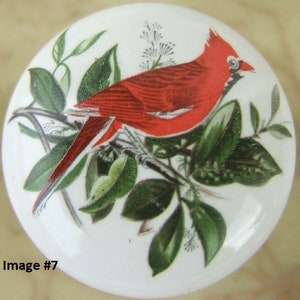 May include: A red cardinal bird perched on a branch with green leaves. The bird is facing right and has a black eye. The background is white.
