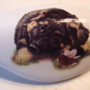 May include: White ceramic drawer pull featuring a detailed illustration of a fluffy, brown and black puppy. The puppy is lying down with a flower in front of it. The pull is oval-shaped.