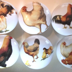 May include: Six white ceramic knobs with colorful images of chickens and roosters. The knobs are round and have a glossy finish.