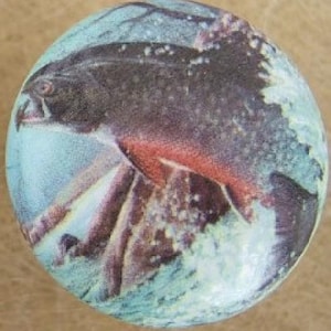 May include: A round decorative knob featuring a detailed illustration of a fish leaping out of water. The fish has dark brown and red coloring, set against a blue and white background. The knob is likely made of ceramic or glass.