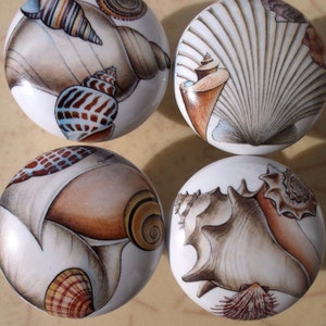 May include: Four white ceramic cabinet knobs with detailed illustrations of seashells in shades of brown, tan, and blue. Each knob features a different seashell design, showcasing intricate patterns and textures. The knobs are round and appear to be hand-painted.