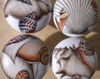 Sea shells #6 seashell (4) Ceramic Cabinet knobs Kitchen hardware pulls