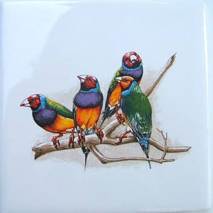 May include: Four colorful finches perched on a branch. The birds have red, blue, green, and yellow feathers. The branch is brown and has a light brown background.