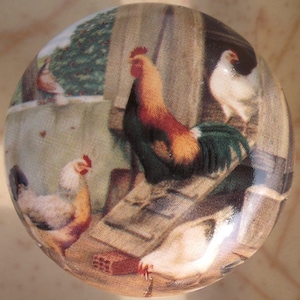 May include: A round decorative knob featuring a detailed illustration of a rooster and several chickens in a farmyard setting. The rooster has red, orange, and green plumage. The chickens are white and brown. The background includes a wooden structure and greenery.