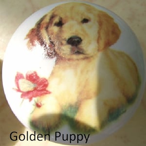 May include: A ceramic knob with a painted image of a golden retriever puppy sitting with a red flower. The text "Golden Puppy" is printed below the image.