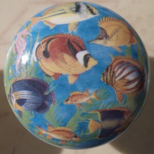 May include: A round decorative knob featuring a vibrant underwater scene. The knob is adorned with colorful fish, including yellow, orange, and blue varieties, set against a light blue background with green seaweed accents. The knob is likely made of ceramic or glass.