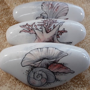 May include: Three white ceramic drawer pulls with hand-painted designs of seashells, coral, and a mushroom. The pulls are oval-shaped and have a glossy finish.