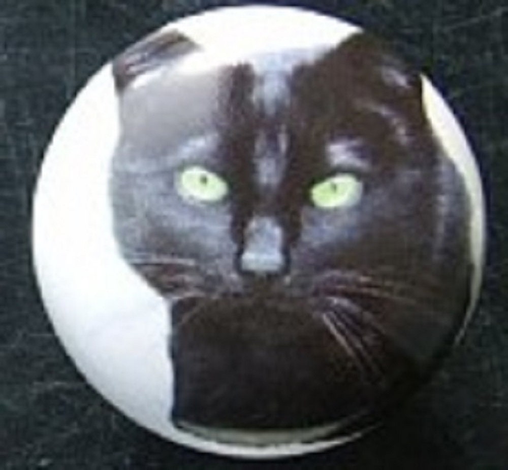 KITTEN CAT HEARTS HOME DECOR CERAMIC KNOB DRAWER CABINET PULL