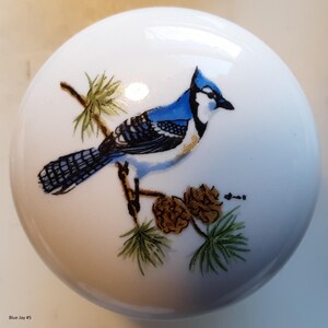 May include: A white, round ceramic knob featuring a detailed illustration of a blue jay perched on a branch with pine needles and pine cones. The bird has blue, black, and white feathers. The knob is labeled "Blue Jay #5".