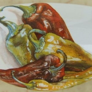 May include: White ceramic serving dish with a colorful illustration of chili peppers. The peppers are in shades of red, green, yellow, and brown. The dish has an oval shape.