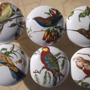 6 Domestic birds #9 Ceramic Cabinet Knobs Kitchen Door pulls Door Hardware