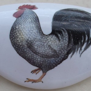 May include: White ceramic cabinet knob with a detailed illustration of a rooster. The rooster has gray and black feathers, a red comb and wattle, and is set against a white background. A decorative accent for furniture.