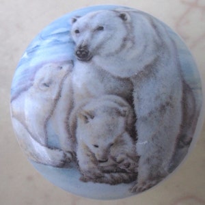 May include: A round decorative knob featuring a polar bear family. The image shows a mother bear with two cubs, set against a light blue and white background. The bears are white with gray shading, creating a realistic depiction.