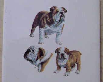 English Bulldog Ceramic Tile accent backsplash serving tray