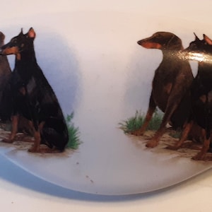 May include: A white, oval-shaped decorative piece featuring two pairs of Doberman Pinschers. The dogs are depicted in a realistic style with black and brown coats, sitting on a patch of grass. The background is a soft, light blue.