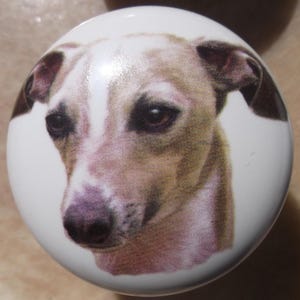 May include: A round white ceramic cabinet knob featuring a detailed, realistic illustration of a tan and white dog with dark ears and expressive brown eyes centered on the surface. The dog's face is captured in a portrait style with a smooth finish.