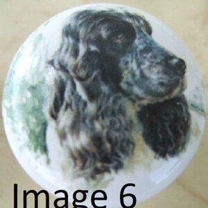 May include: A black and white cocker spaniel dog with long, flowing hair. The dog is looking to the right of the image. The dog is on a white background with a green and white watercolor background.