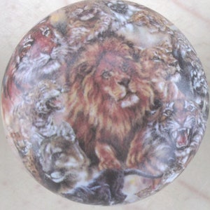 May include: A round ceramic knob with a colorful image of a lion and other wild animals. The lion is in the center of the image and has a mane of brown and orange fur. The other animals are arranged around the lion and include a tiger, a leopard, and a cheetah.