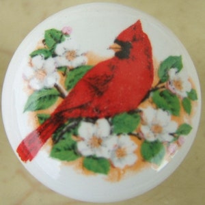 May include: White ceramic cabinet knob featuring a vibrant red cardinal bird perched on a branch with white blossoms and green leaves. The knob has a round shape and is suitable for furniture or decorative use.