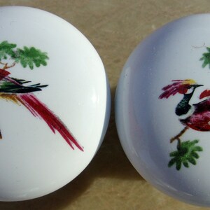 May include: Two white ceramic knobs with colorful bird illustrations. The birds are depicted on a branch with green leaves. One bird is red, yellow, and green, while the other is red, yellow, and brown.