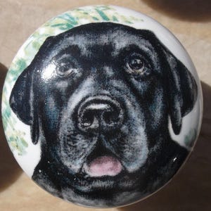 May include: A round white ceramic cabinet knob featuring a detailed illustration of a black Labrador retriever dog. The dog is depicted with a glossy black coat, dark eyes, and a slightly open mouth showing a pink tongue, set against a light background.