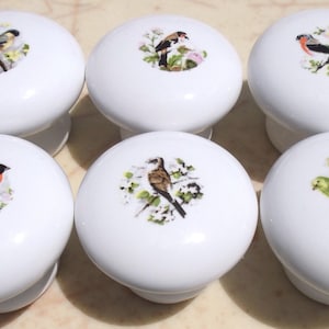 May include: Six white ceramic cabinet knobs with a floral design and a different bird on each knob. The birds are a yellow bird, a red bird, a brown bird, a green bird, a brown and white bird, and a black and white bird.
