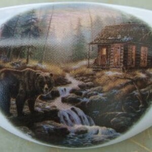 May include: A white ceramic knob with a brown bear and a cabin in the woods scene. The scene includes a waterfall and trees.