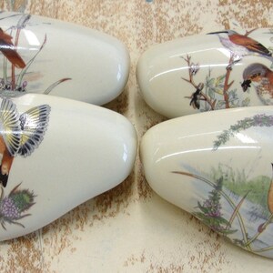 May include: Four oval-shaped ceramic cabinet knobs with bird illustrations. Each knob features a different bird design with colorful details, set against a cream-colored background. The knobs are likely for furniture or decorative use.