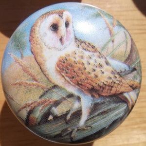 Owl #3 Ceramic Cabinet knobs Kitchen hardware pulls