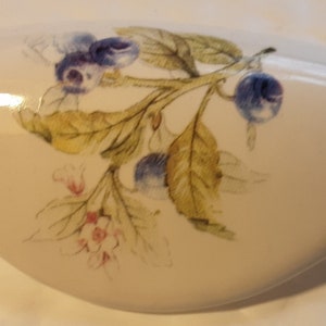 May include: A white ceramic dish with a blue and green floral design featuring blueberries and leaves.