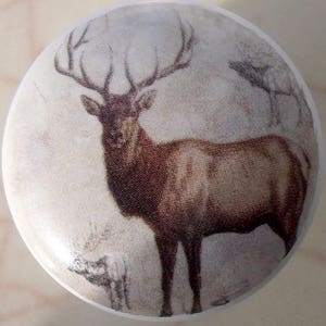 May include: A round, white cabinet knob featuring a detailed illustration of a majestic elk with large antlers. The elk is depicted in shades of brown and tan against a soft, textured background, creating a rustic aesthetic. A smaller elk is also visible.