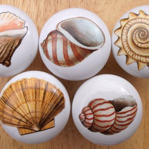 May include: Six white ceramic knobs with different seashell designs. The knobs feature a variety of seashells, including a conch shell, a scallop shell, and a spiral shell. The shells are painted in realistic colors and details.