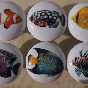 May include: Set of six white ceramic cabinet knobs, each featuring a different colorful illustration of a tropical fish. Designs include a clownfish, triggerfish, and a yellow tang. Ideal for adding a nautical theme to furniture.