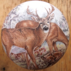 May include: A round decorative button featuring a detailed illustration of a buck deer with large antlers, a doe, and a fawn in a forest setting. The button has a white background and a fabric-like texture.