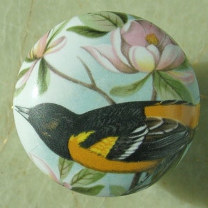 May include: A round, ceramic cabinet knob featuring a detailed illustration of an oriole bird with black, yellow, and orange plumage. The bird is set against a light blue background with pink magnolia flowers and green leaves.