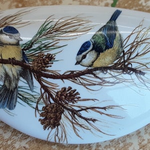 May include: White, oval-shaped decorative stone featuring two blue and yellow birds perched on a branch with pine needles and pine cones. The birds are detailed with blue, yellow, and brown feathers. The stone has a glossy finish.