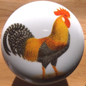 May include: A white ceramic knob with a colorful rooster illustration. The rooster has a red comb, yellow body, and black and white tail feathers.