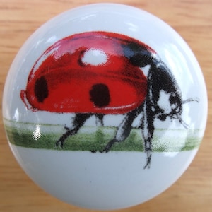 May include: White ceramic cabinet knob featuring a red ladybug design with black spots and a black head. The ladybug is set against a green and white background. This decorative knob is ideal for adding a touch of nature to furniture.
