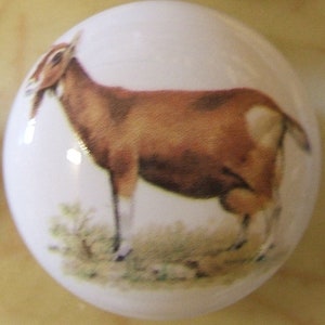 May include: A white ceramic knob with a brown and white goat illustration. The goat is standing on a green grassy field.