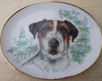 Oval collector Plate with Rough coat Jack Russel Terrier