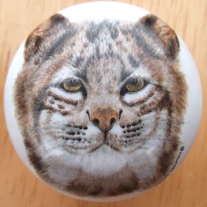May include: A white, round decorative knob featuring a detailed illustration of a bobcat's face. The bobcat has brown and gray fur, yellow eyes, and a tan nose. The knob is likely made of ceramic or porcelain.