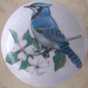 May include: White ceramic cabinet knob featuring a detailed illustration of a blue jay perched on a branch with white flowers and green leaves. The knob has a glossy finish and is perfect for adding a touch of nature to furniture.