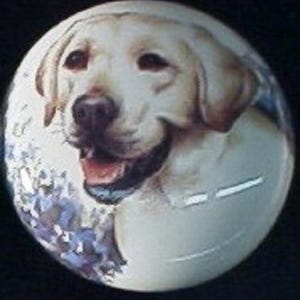 May include: A circular ceramic knob featuring a detailed illustration of a yellow Labrador retriever with a cream-colored coat, dark eyes, and an open mouth. The dog is set against a white background with blue floral accents at the bottom left.