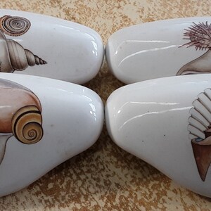 Pretty seashell sea shell CABINET drawer kitchen hardware door pulls