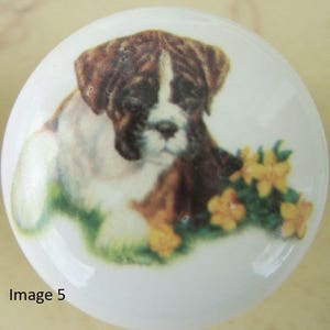 May include: White ceramic cabinet knob featuring a Boxer dog illustration. The dog has brown and white fur and is lying down near yellow flowers. The knob is round and has a glossy finish. The text "Image 5" is at the bottom left.