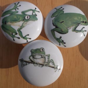 May include: Three white ceramic cabinet knobs with green frog illustrations. Each knob features a different frog pose, with details like the frog's eyes and skin texture. The knobs are round and appear to be new.