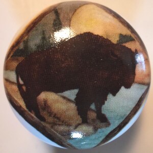 May include: A round decorative knob featuring a detailed image of a bison in a natural landscape. The bison is dark brown, set against a backdrop of a light blue sky and tan rocks. The knob has a glossy finish.