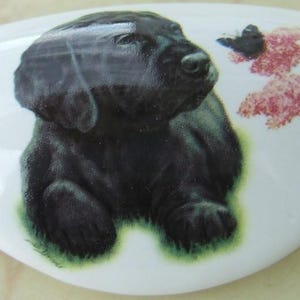 May include: White ceramic cabinet knob with a black Labrador puppy design. The puppy is lying down on green grass, with a black butterfly and pink flowers. The knob has a smooth, glossy finish.